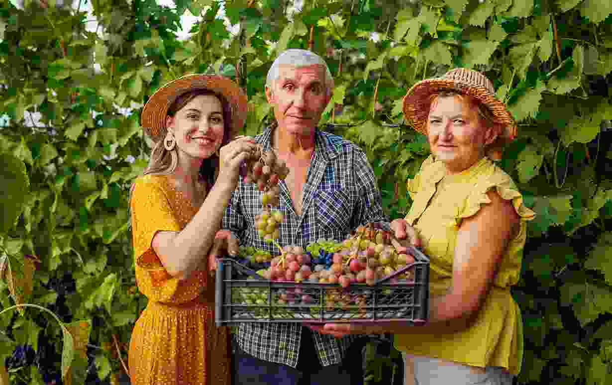 Comparison Between Traditional & Modern Farming